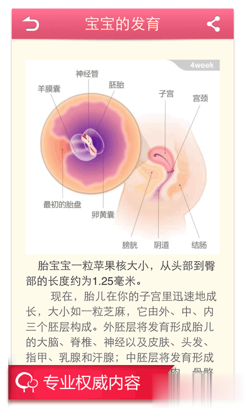 快乐孕期下载游戏截图2