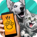 动物翻译模拟器app软件图标