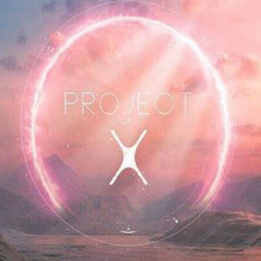 project x游戏图标