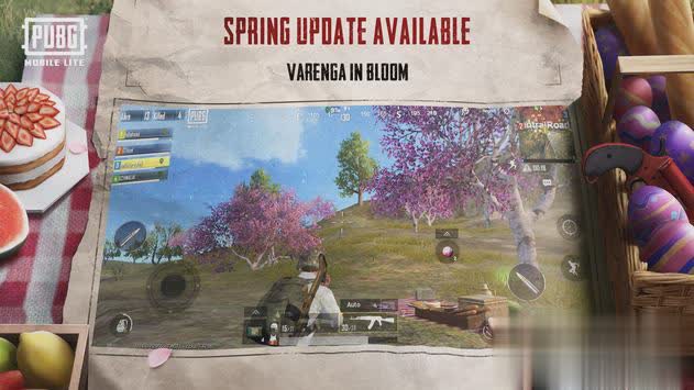 PUBG吃鸡手游简化版软件截图2