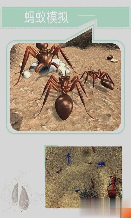 模拟蚂蚁游戏截图2