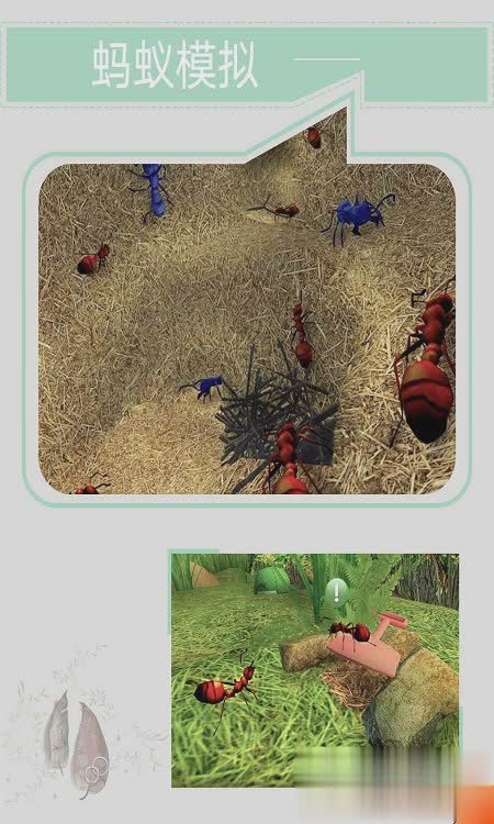 模拟蚂蚁游戏截图4