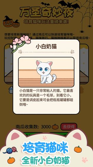 猫咪公寓游戏截图1