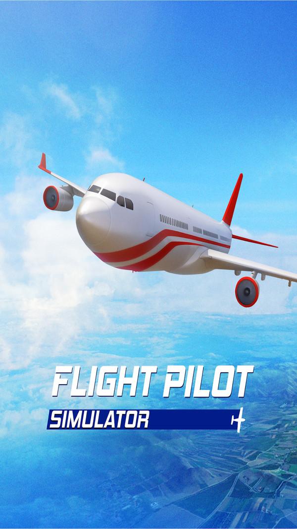 飞行模拟器3D手机版游戏截图1