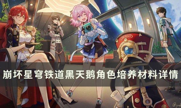 黑天鹅材料分类
