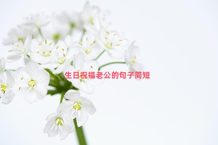 生日祝福老公的句子简短-64条精选 