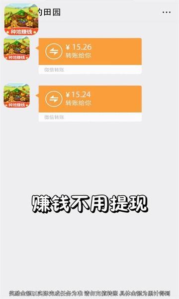 幸福小田园游戏截图2