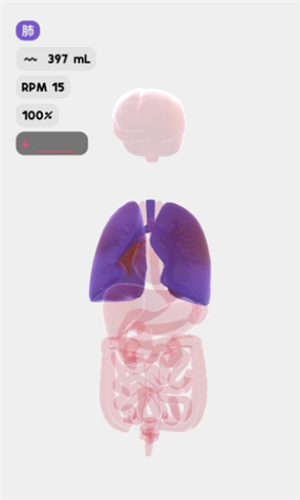 life生命模拟器游戏截图2