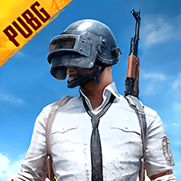 >betapubgmobile国际服体验服